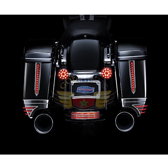 REAR L.E.D. SADDLEBAG ACCENTS 6906