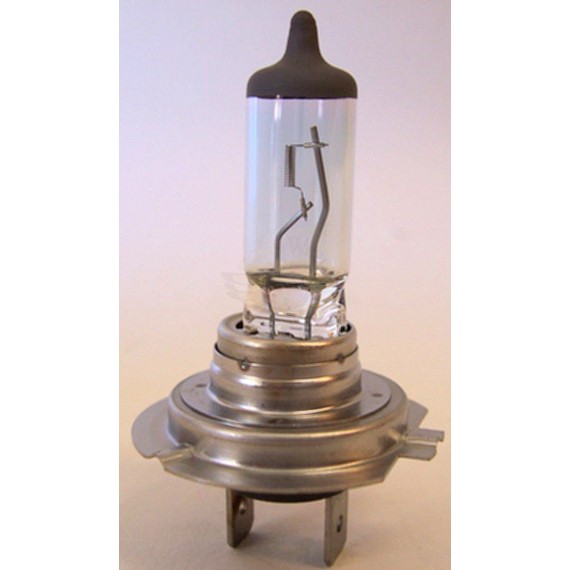 1800 12V 55W Xenon Cool Blue