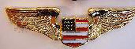 Gold Wing  w/USA Shield 3"x1"