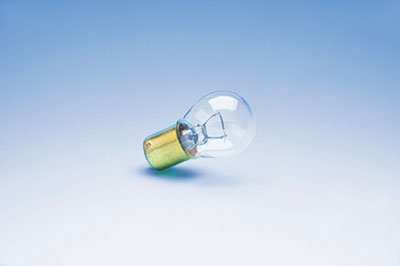 REPLACEMENT BULBS (2)