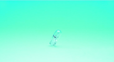 REPLACEMENT BULBS(10)