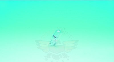 REPLACEMENT BULBS(10)-REPLACEMENT BULBS(10)