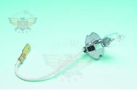 REPLACEMENT BULB 10-2604