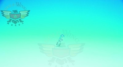 REPLACEMENT BULBS(10) 10-282