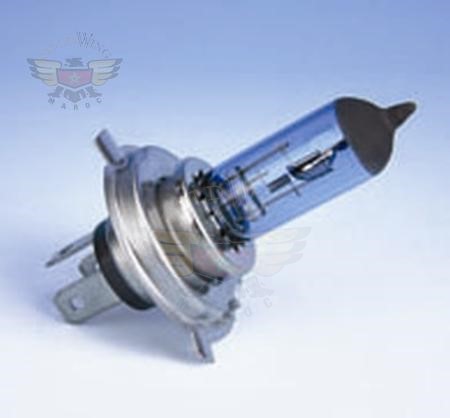 TRUE WHITE tm HALOGEN 10-8455