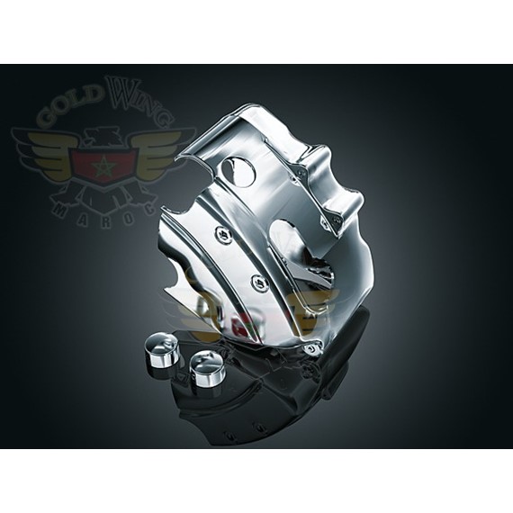 *FRT CALIPER SKIN, RIGHT 4-PISTON 