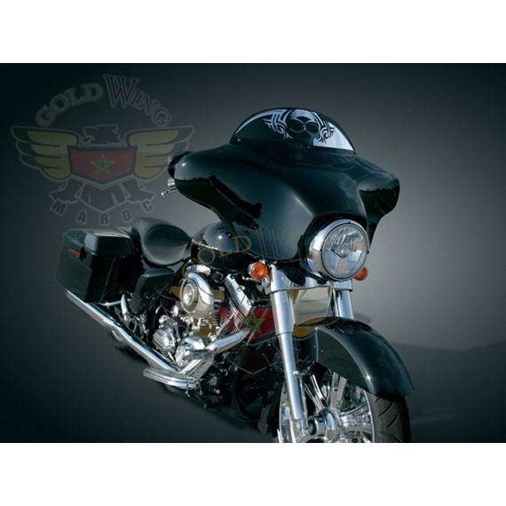 ZOMBIE PARE-BRISE - 6 FLHT/FLHX