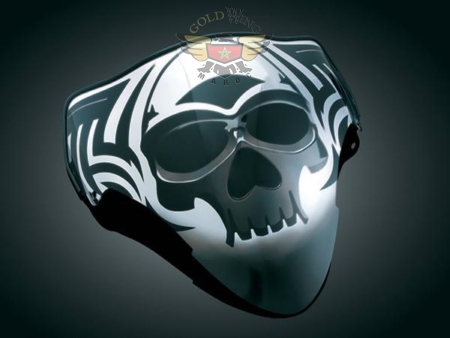 ZOMBIE PARBRISE POUR HAYABUSA