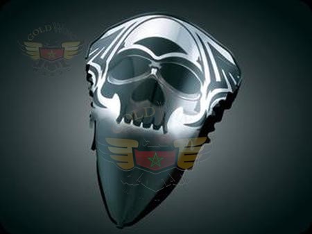 ZOMBIE PARBRISE POUR R1