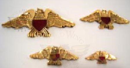 Eagle Emblem