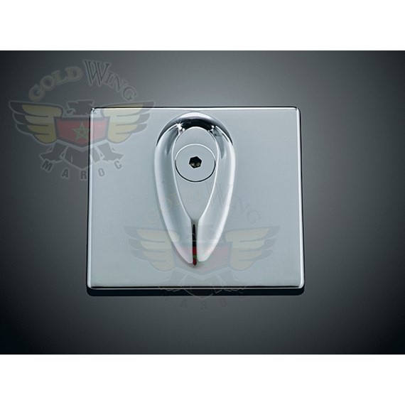 DASH INSERT TRIM F/ROADKING   