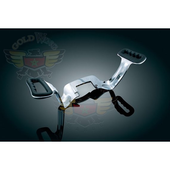 PASSENGER GRAB RAILS FOR TOURING