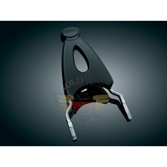 RAPTOR BAR, PLUS-RAPTOR BAR, PLUS