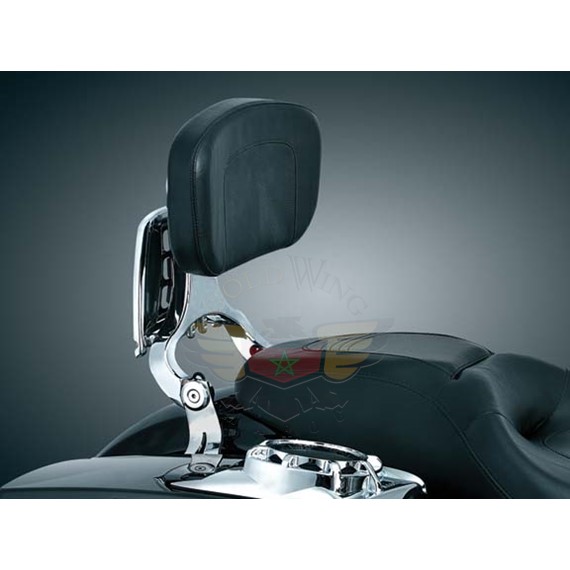 MULTI-PURPOSE DRIVER-PASSENGER BACKREST-MULTI-PURPOSE DRIVER-PASSENGER BACKREST