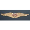3  V45 WING EMBLEM