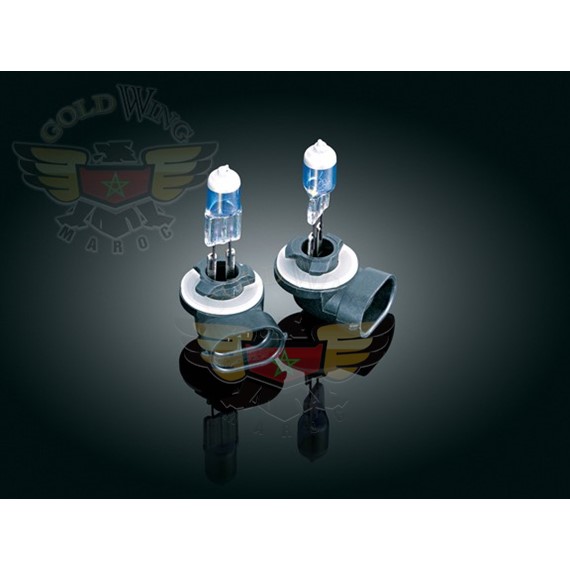 HALO AUTOMOTIVE PLATINUM WHITE BULBS