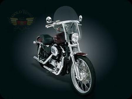 LOW WINDSHIELD W/SM CUTOUT, CLEAR