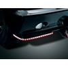 LED REAR FENDER CORNER TRIM, GL1800TRIKE