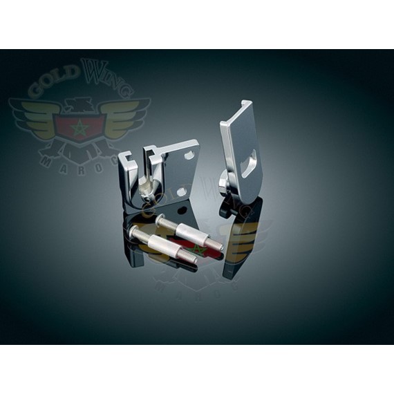 *eCADDY LITE - GOLDWING-*eCADDY LITE - GOLDWING