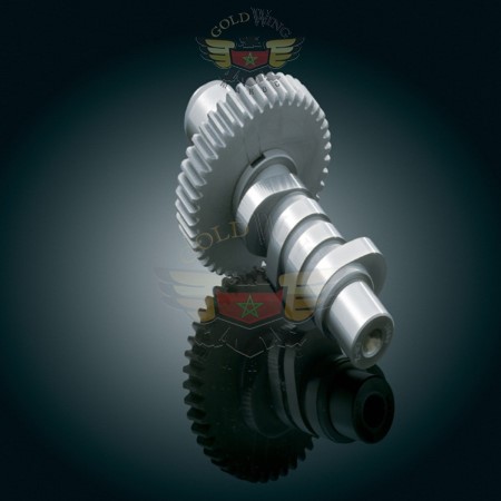 *WILD THINGS ER-46 EVO CAM