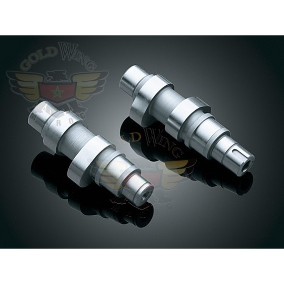 *WILD THINGS TC-4G CAMS