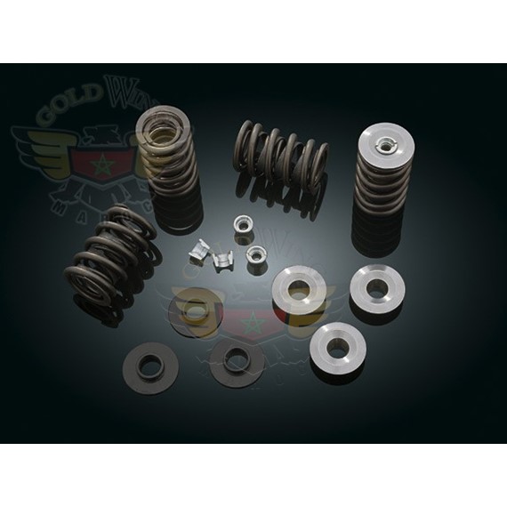 *WILD THINGS HIGH LIFT SPRING KIT