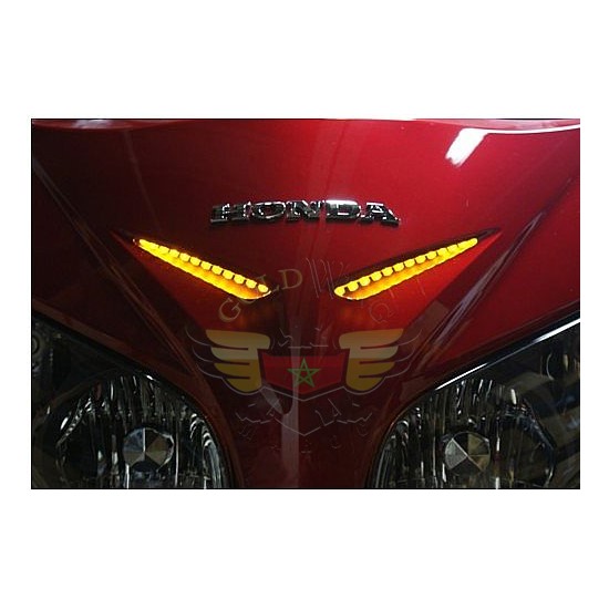 1800 Windshield & front fairing garnish light -1800 Windshield & front fairing garnish light 