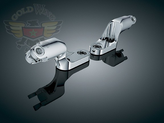 PASSENGER PEG MOUNT FOR V-ROD
