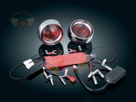 *WILD THINGS TC-2D CAMS