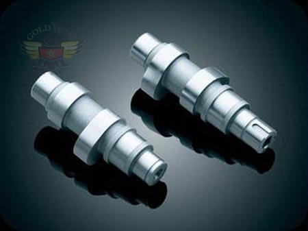 WILD THINGS TC-546D CAMS