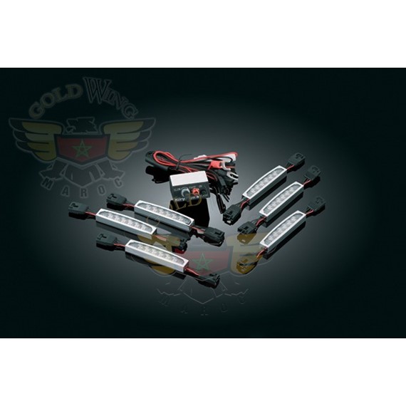 SUPER LIZARD LIGHTS FOR GL