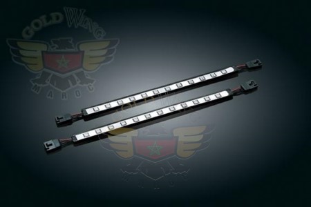 LONG LIZARD LIGHTS