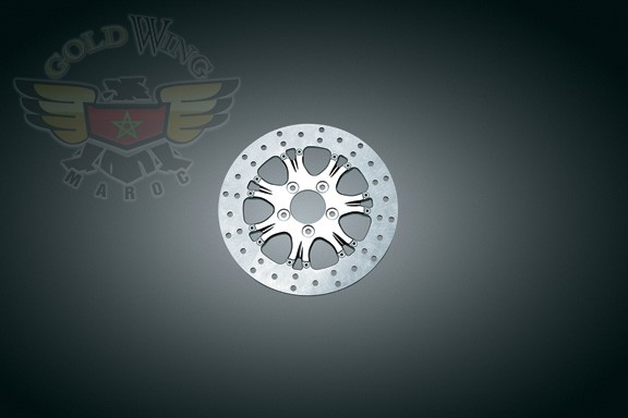 HEATHEN CHROME REAR ROTOR, '00-'07 FLH MODELS