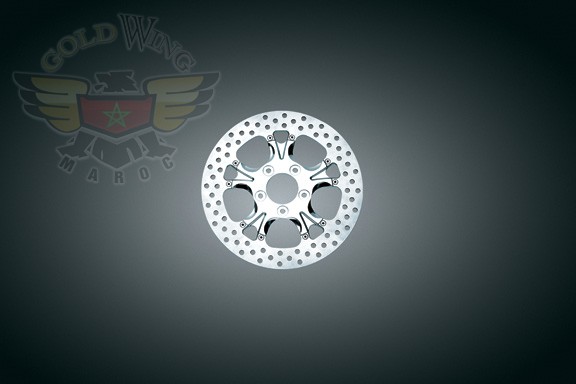 GASSER CHROME REAR ROTOR, '00-'07 FLH MODELS