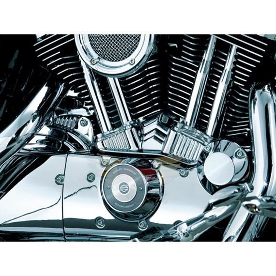 TAPPET BLOCK ACCENT FOR SPORTSTER-TAPPET BLOCK ACCENT FOR SPORTSTER