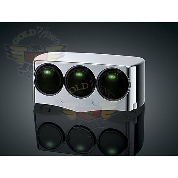 ACCESSORY SWITCHES FOR GOLDWING