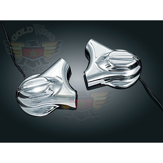 LIGHTED PHANTOM COVERS, 08-UP SOFTAIL