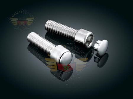 "*END PLUG TURQ F 5/16"" ALLEN BLT W 1/4""HD"