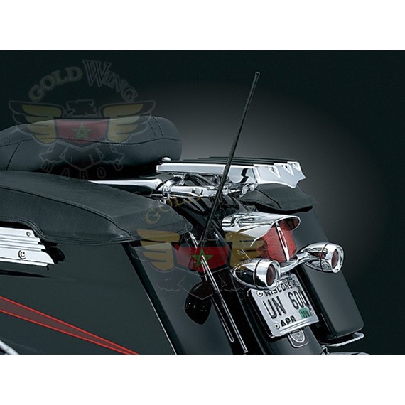 DUAL FUNCTION ANTENNA FOR TOUR PAK