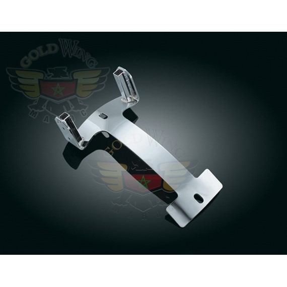 PLUG-N-PLAY SISSY BAR MOUNT (DT)