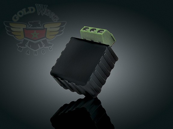 PULSATING BRAKE LIGHT CONTROLLER GOLD WING