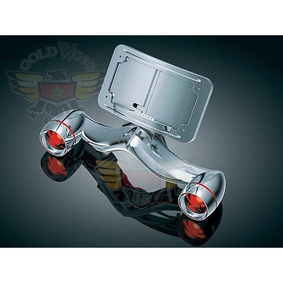 TURN SIGNALS WITH LIGHTED CURVED LICENSE FRAME