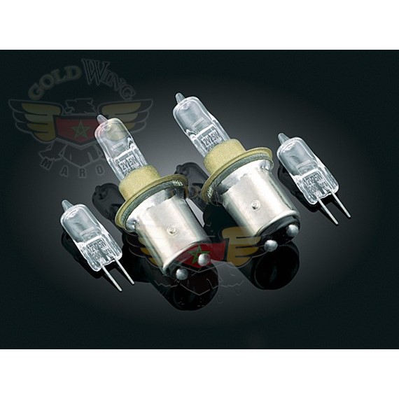 SUPER BRIGHT PULSING BULBS: FLHTCU