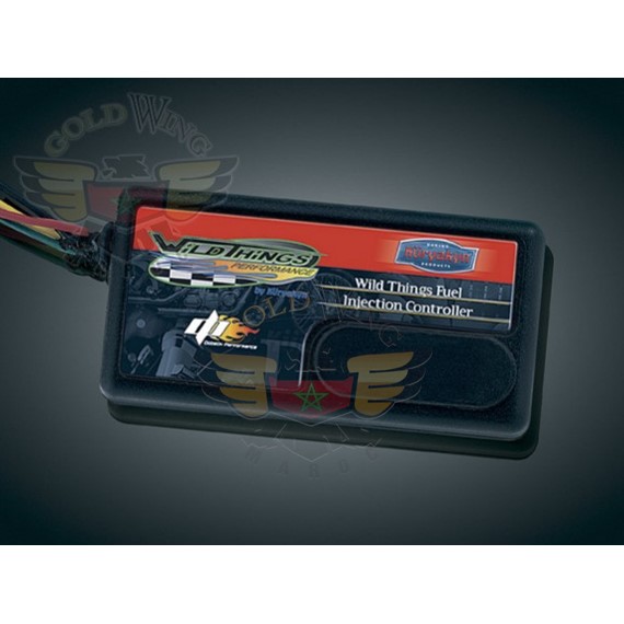WILD THINGS FUEL INJECTION CONTROLLER