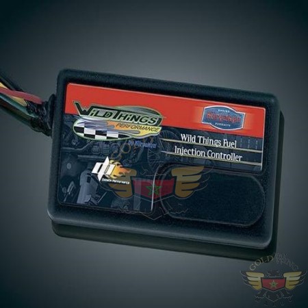 *WILD THINGS FUEL INJECTION CONTROLLER