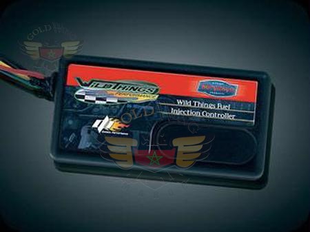 WILD THINGS FUEL INJECTION CONTROLLER