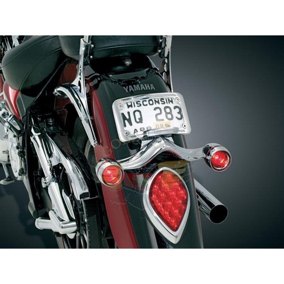 TURN SIGNALS WITH LIGHTED CURVE PLATE-TURN SIGNALS WITH LIGHTED CURVE PLATE