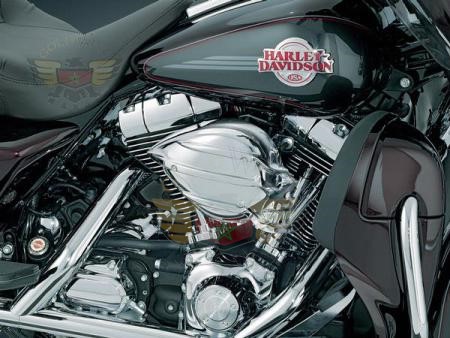 BLACK CHROME SKULL A/C KIT - 