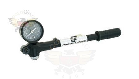 100 PSI  Air Pump  (GP2-0-100)